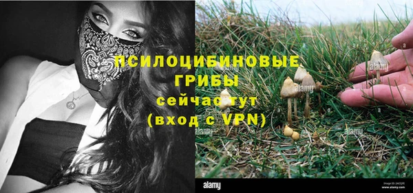 ECSTASY Нефтекумск