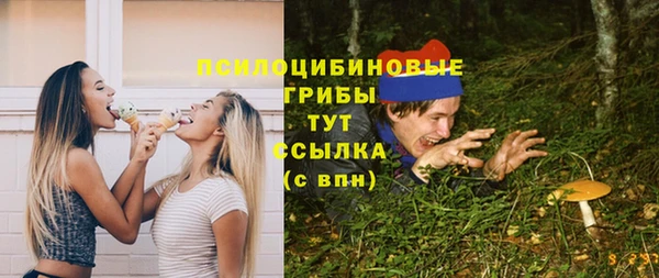соль курить ск Новозыбков