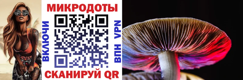 купить  цена  Астрахань  Галлюциногенные грибы MAGIC MUSHROOMS 