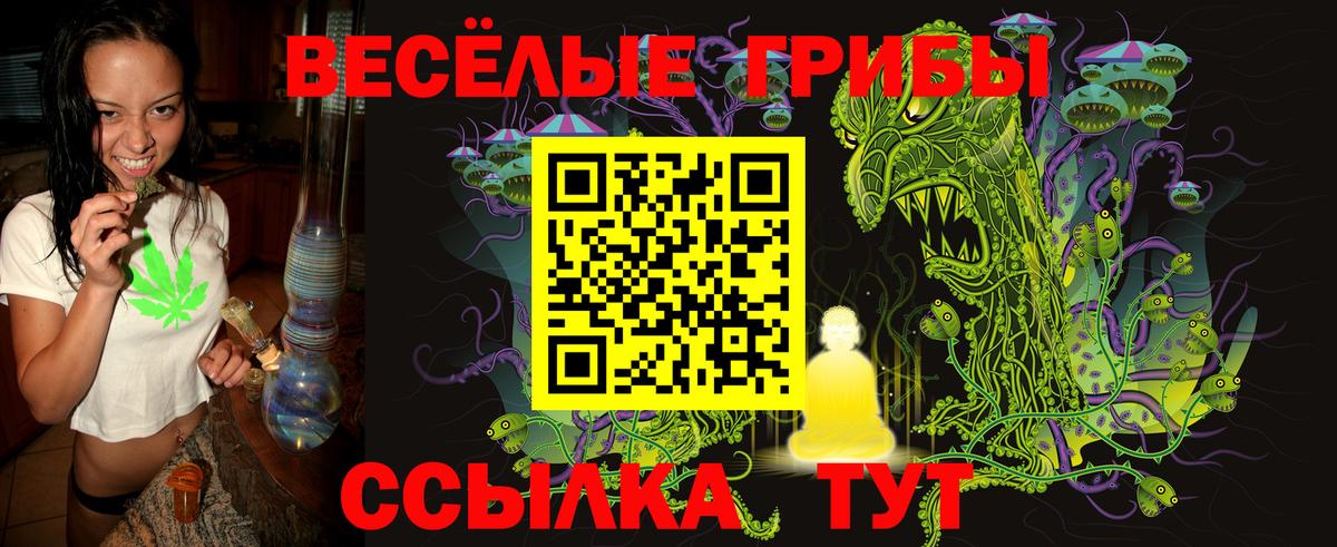 Псилоцибиновые грибы Psilocybe Астрахань