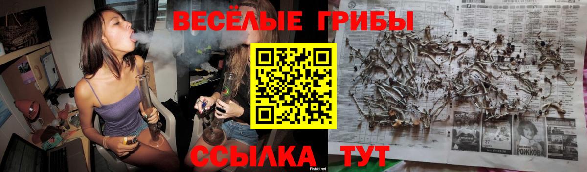 Псилоцибиновые грибы ЛСД  Астрахань 