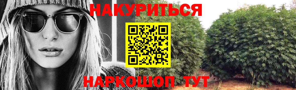 Бошки Шишки конопля  Каннабис OG Kush  Астрахань  Канабис индика 